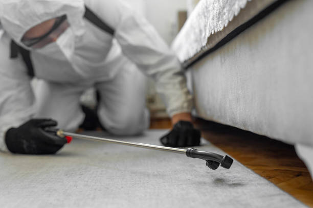 Professional Emergency Pest Control technician working in Gulf Shores, AL