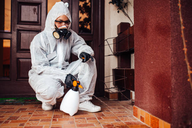 Reliable Emergency Pest Control contractor in Gulf Shores, AL by Nex Pest Control