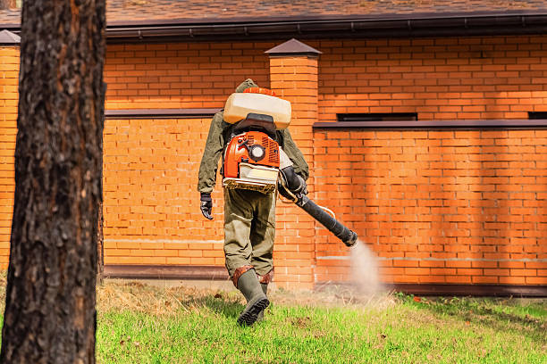 Trusted Rodent Control service in Gulf Shores, AL - Nex Pest Control